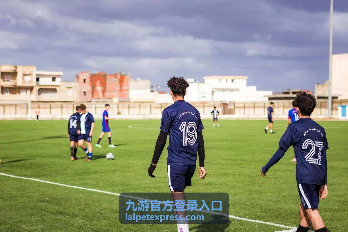 九游官方登录入口手机端界面预览