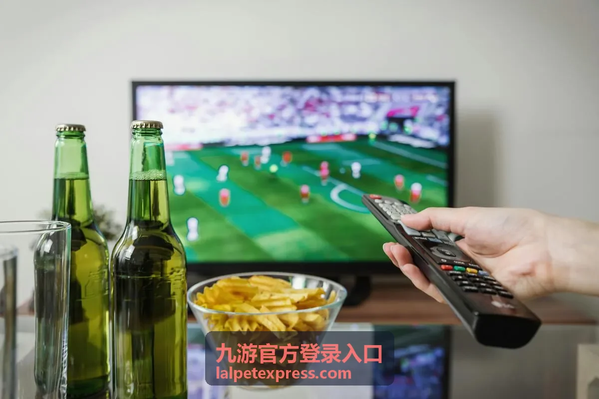 九游官方登录入口账号安全介绍封面